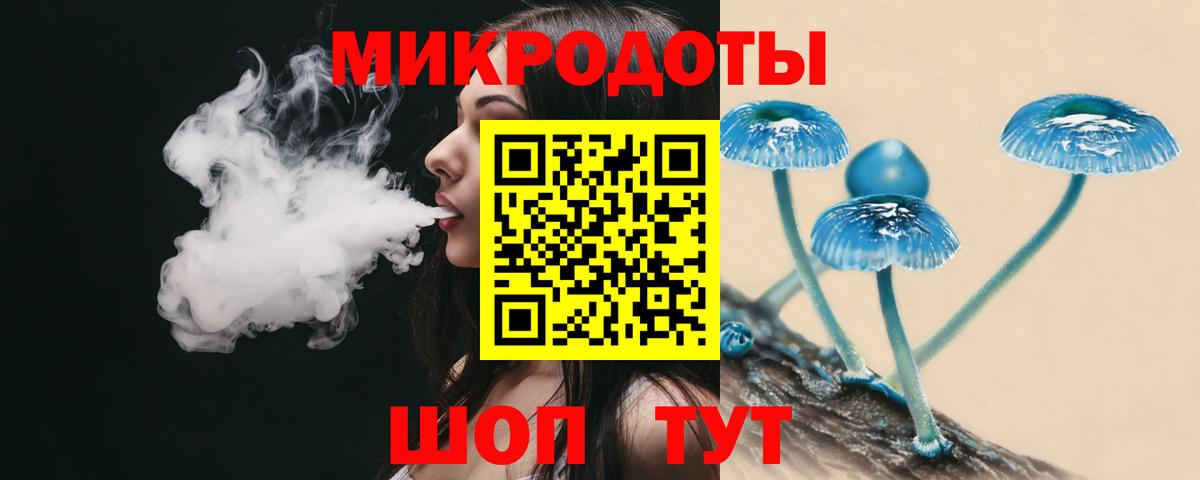 Псилоцибиновые грибы Psilocybine cubensis Семёнов