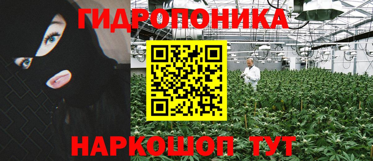 Марихуана семена Семёнов